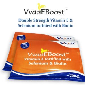 VvaaEBoost