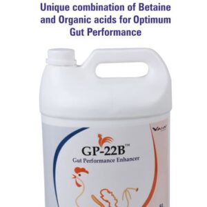 GP 22B