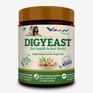 DIGYEAST