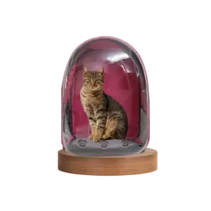 Cat Carrier Bag Larger