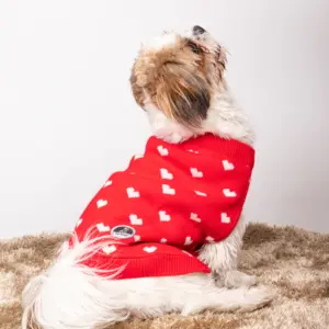 Red Heart Sweater Dog