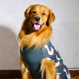 Quack Cozy Knit Sweater for Dogs