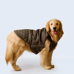 Olive Green Jacket for Dogs