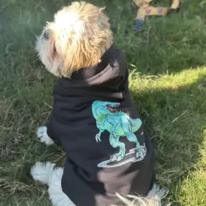 Dino Snug Hoodie for Dogs