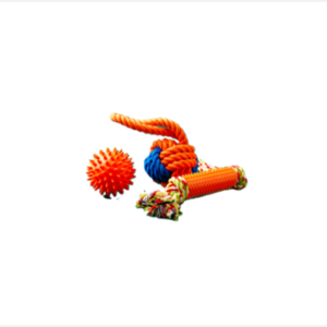 Smart & Interactive Toys