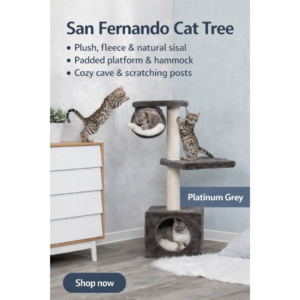 Cat Tree and Scratchers
