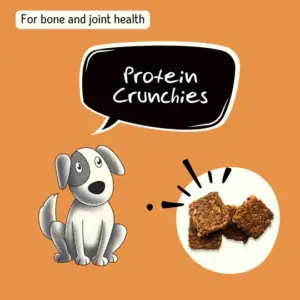 Protein Crunchies (150 gm)