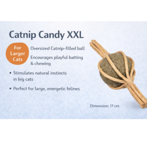 Catnip Toy