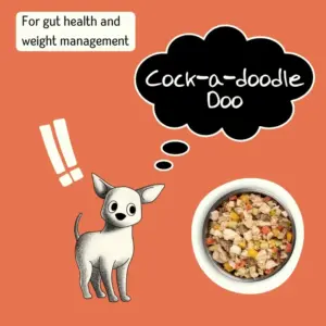 Chicken Vegetables Meal