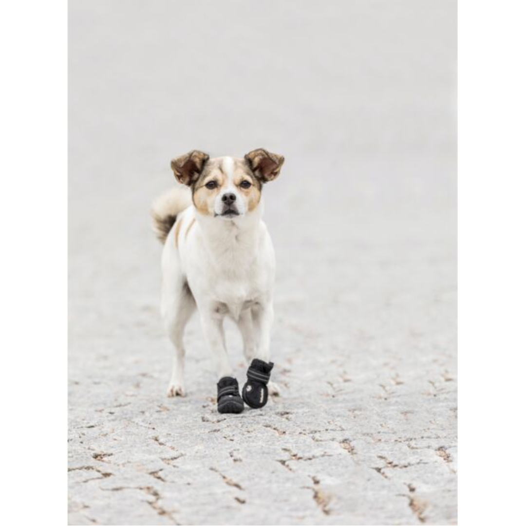 Dog Boots (4)
