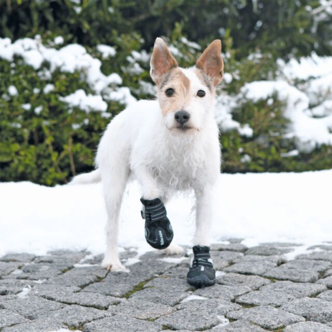 Dog Boots (7)
