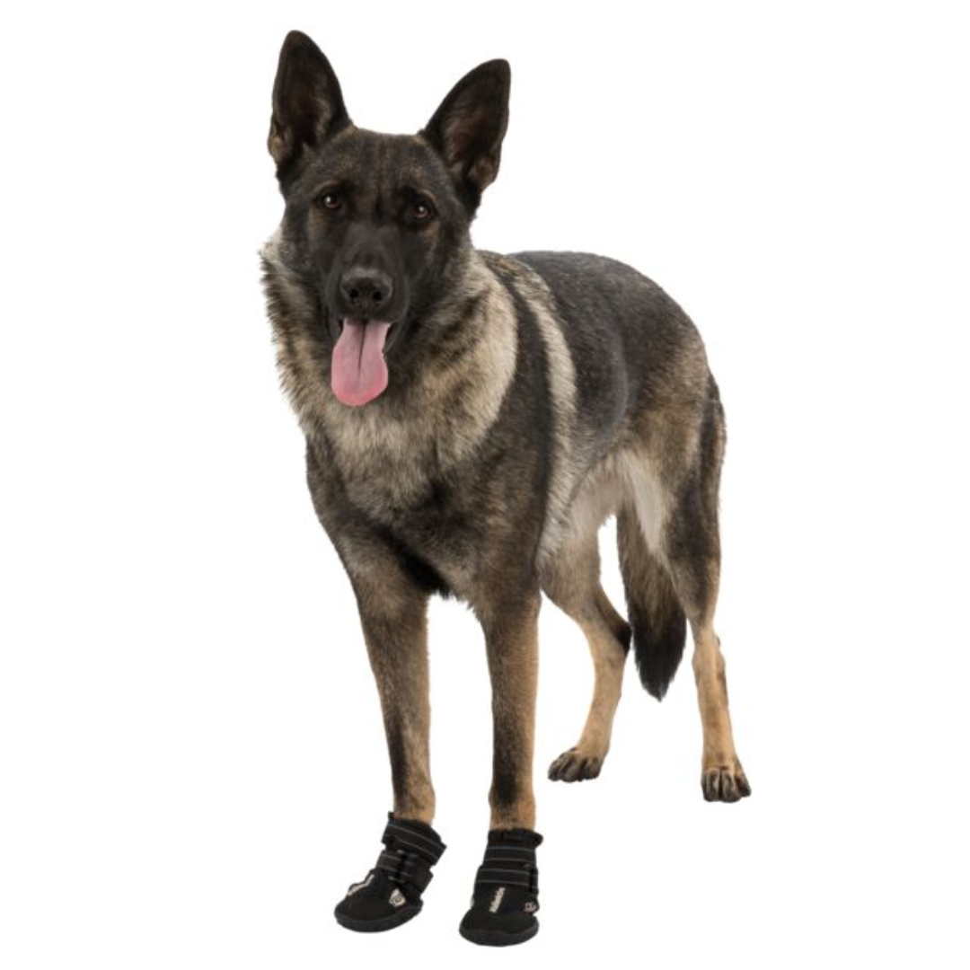 Dog Boots (9)