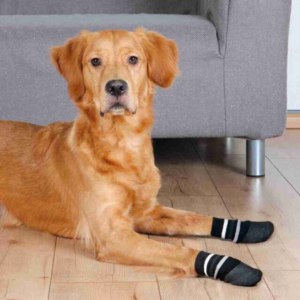 Dog Socks
