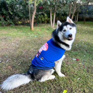 Petsnugs Blue Shrooms T-Shirt