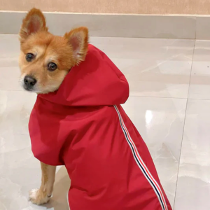 Dog Raincoat