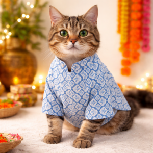 Cat Ethnic Kurta