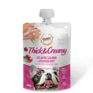 Salmon & Cranberry Dog Treats for Dogs - 100g.
