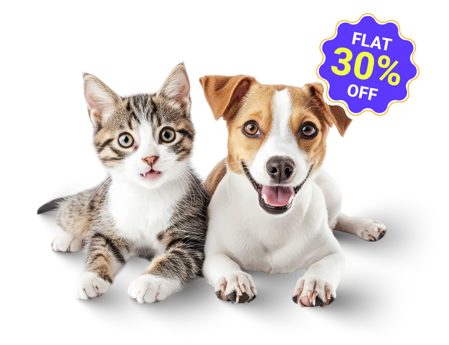 Adorable kitten and puppy with a "Flat 30% Off" discount badge.